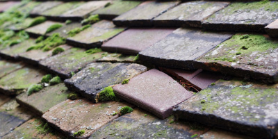 Lewes roof repair costs